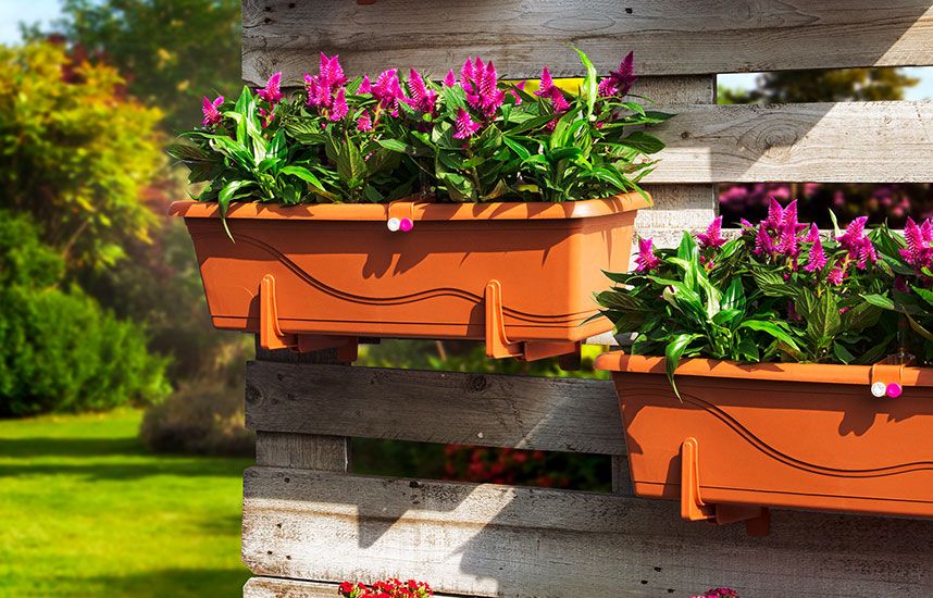 Саксии и кутии за цветя в градината - изберете правилните